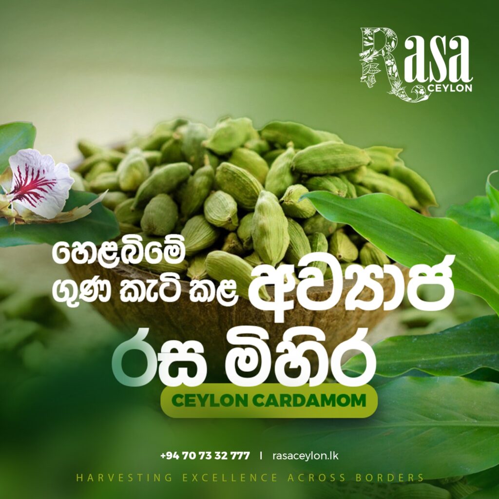 WhatsApp Image 2025-05-23 at 00.04.48