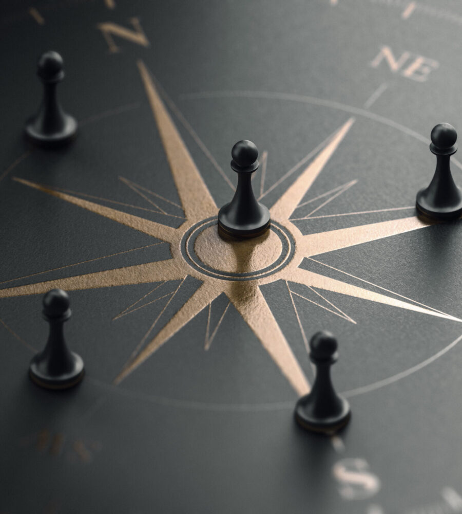 Business Strategy and Orientation Concept